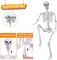 Halloween Life Size Skeleton Posable Skeleton Full Body Plastic Human with Adjustable Joints for Outdoor Indoor Halloween Decoration